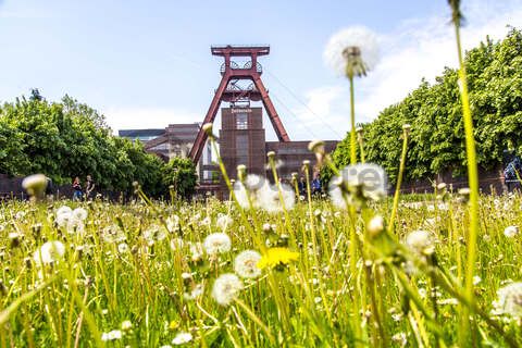 Das 55 Meter hohe Doppelbock-Fördergerüst ist das Wahrzeichen des UNESCO-Welterbe Zollverein, der Stadt Essen und des gesamten Ruhrgebiets.

Fördergerüst, UNESCO-Welterbe Zollverein, Essen