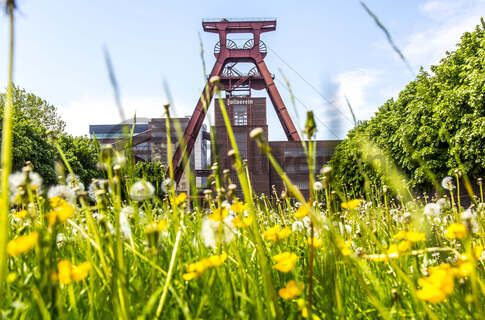 Das 55 Meter hohe Doppelbock-Fördergerüst ist das Wahrzeichen des UNESCO-Welterbe Zollverein, der Stadt Essen und des gesamten Ruhrgebiets.

Fördergerüst, UNESCO-Welterbe Zollverein, Essen